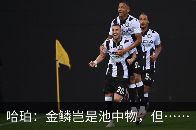 哈珀：金鳞岂是池中物，但……