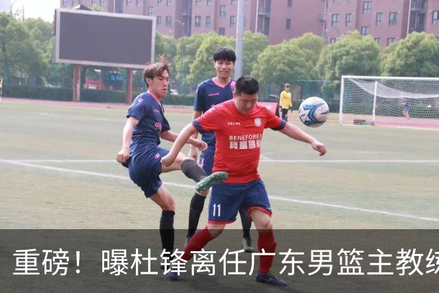 重磅！曝杜锋离任广东男篮主教练 媒体人猜测外教接任可能性较大
